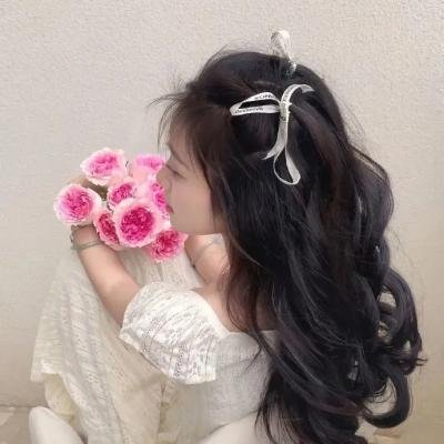 闪电巡逻队海报
