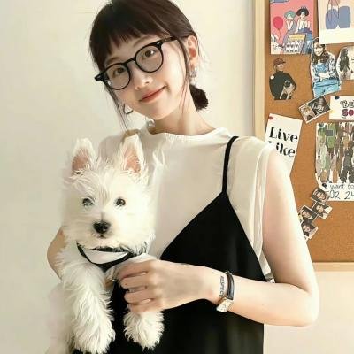 暗黑骰子海报