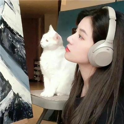 三角梅海报